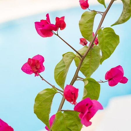 باغيرا Apartamentos Los Tilos المظهر الخارجي الصورة