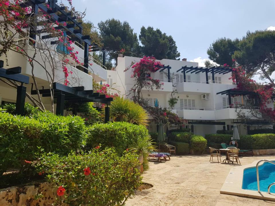 باغيرا Apartamentos Los Tilos المظهر الخارجي الصورة